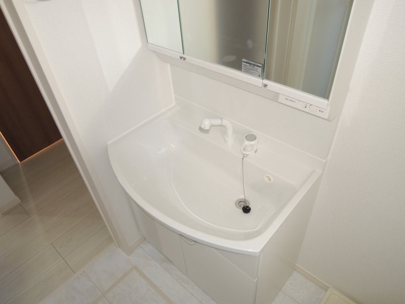 ルミナスF その他2