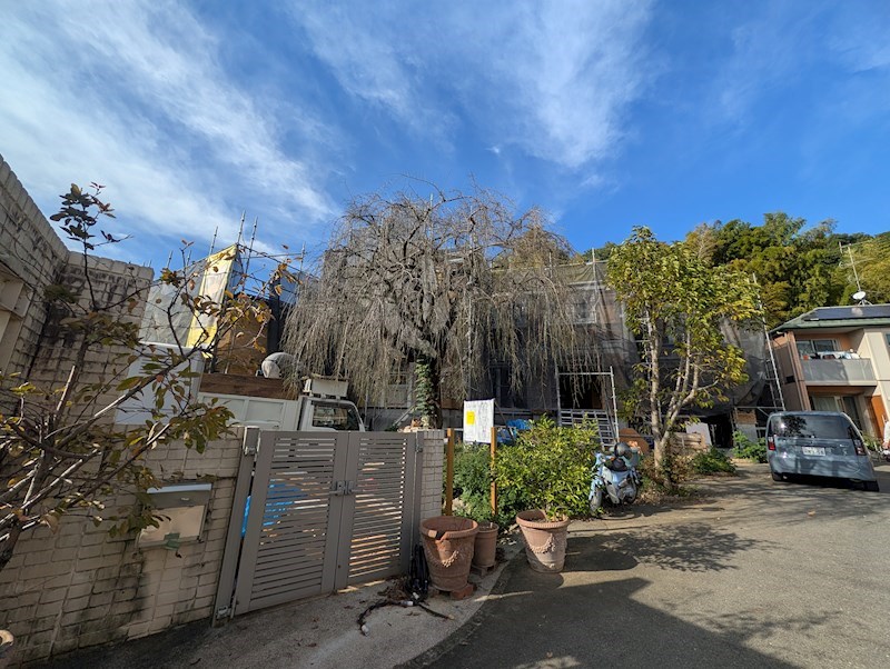 凛樹-Foresta- (フォレスタ) 玄関