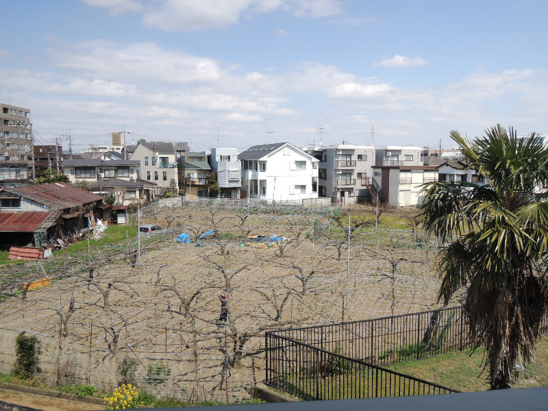 Dintorno　- ディントルノ - その他6