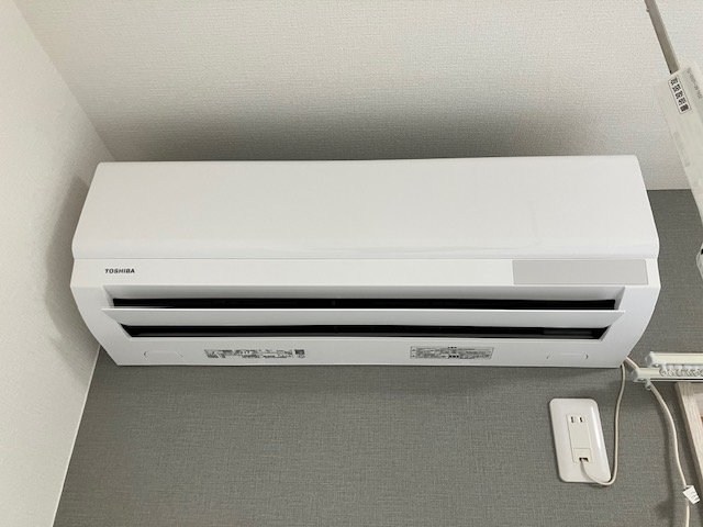 桃の木 その他8