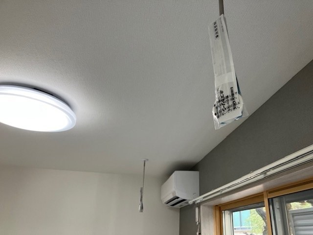 桃の木 その他9