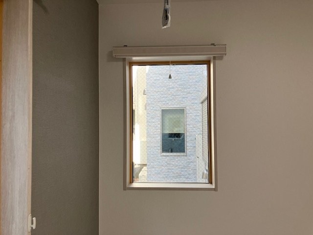 桃の木 その他10