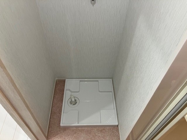 桃の木 その他4