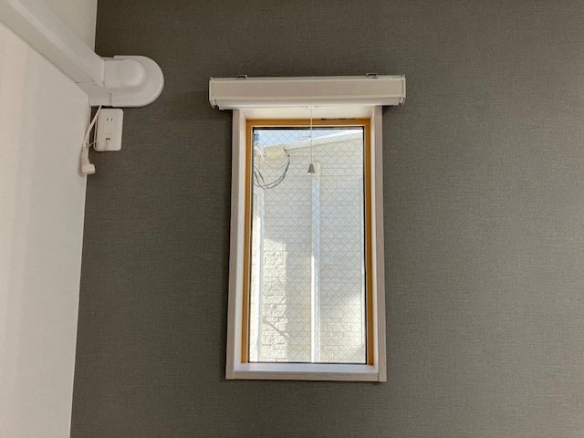 桃の木 その他8