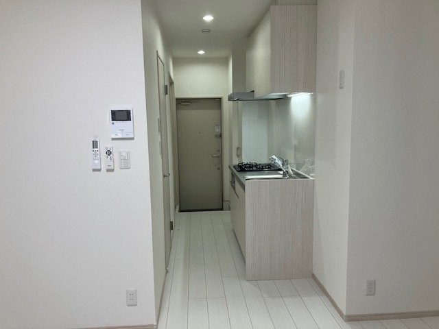 桃の木 その他9