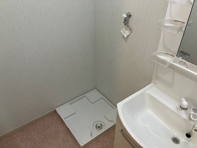 桃の木 その他4