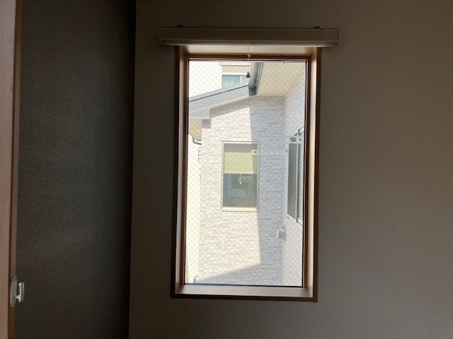 桃の木 その他8