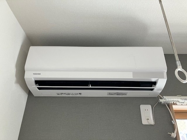 桃の木 その他9