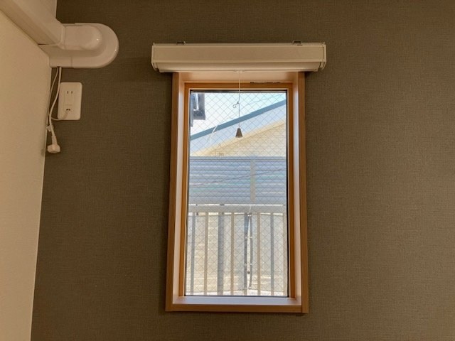 桃の木 その他9