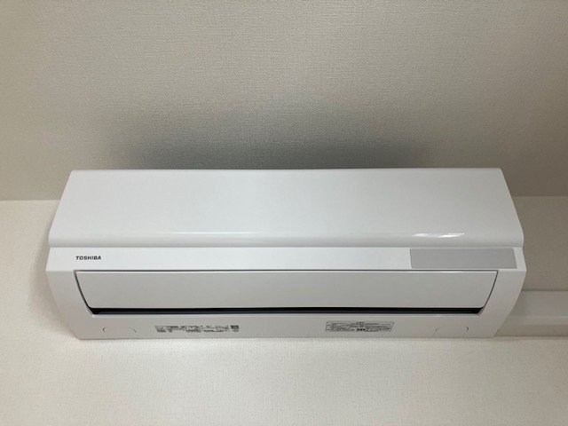 桃の木 その他10