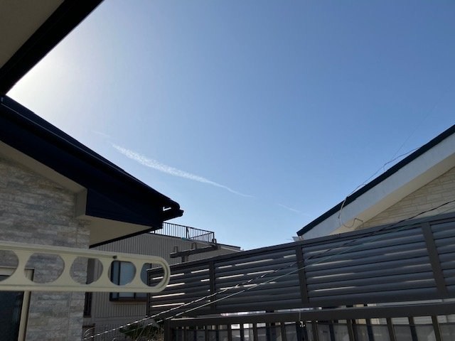 桃の木 ベランダ