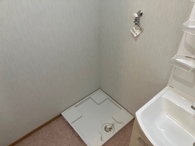 桃の木 その他4