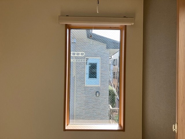 桃の木 その他7