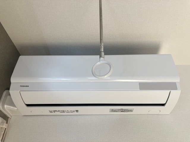 桃の木 その他8