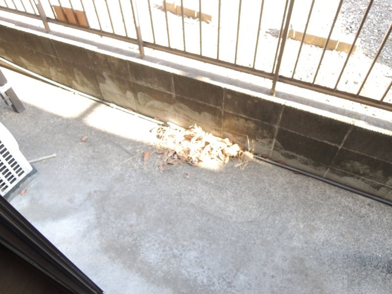 ペアハイムⅩ ベランダ