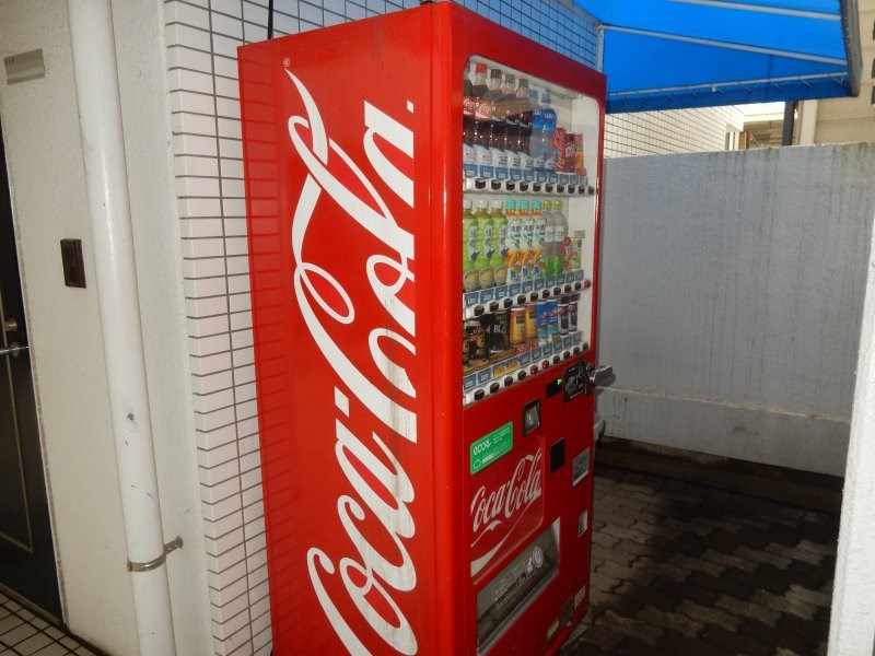 スカイコート向ヶ丘遊園 その他13