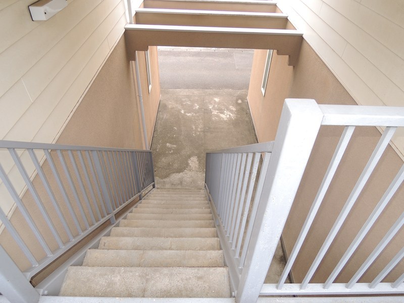 サンフォーレスト その他11