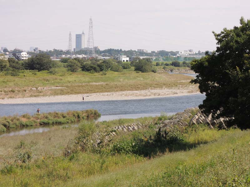 テラスハウスYOKOTA 周辺画像7