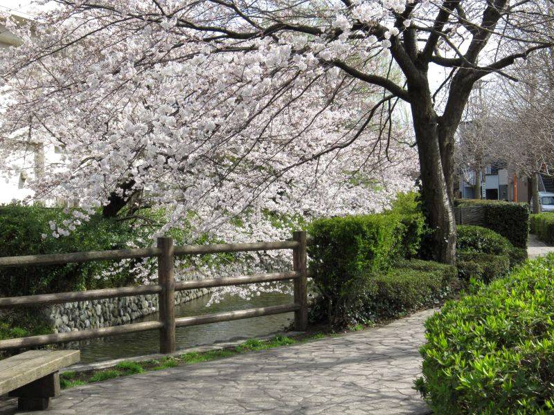 コーポ関谷 周辺画像1