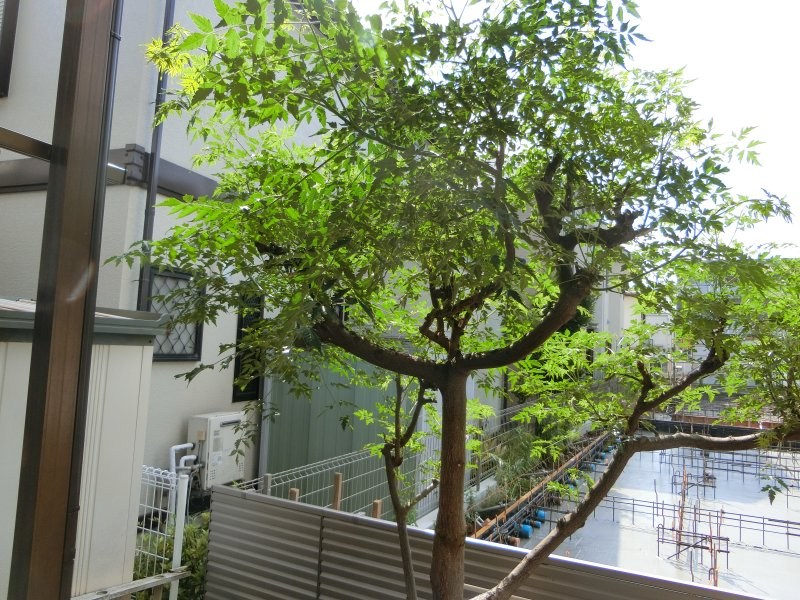 卯月ハイツ その他15