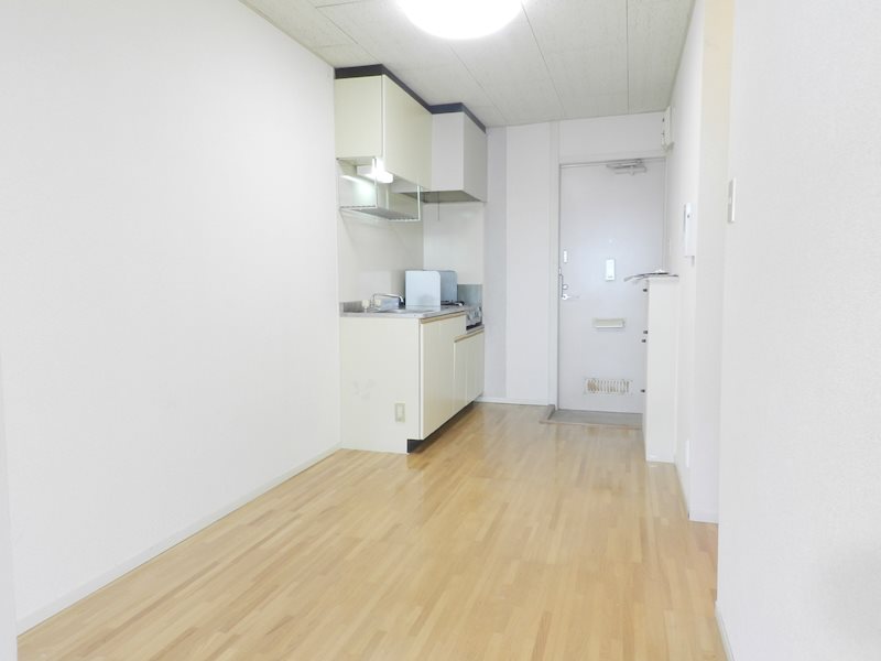 GANESHA 994 その他4