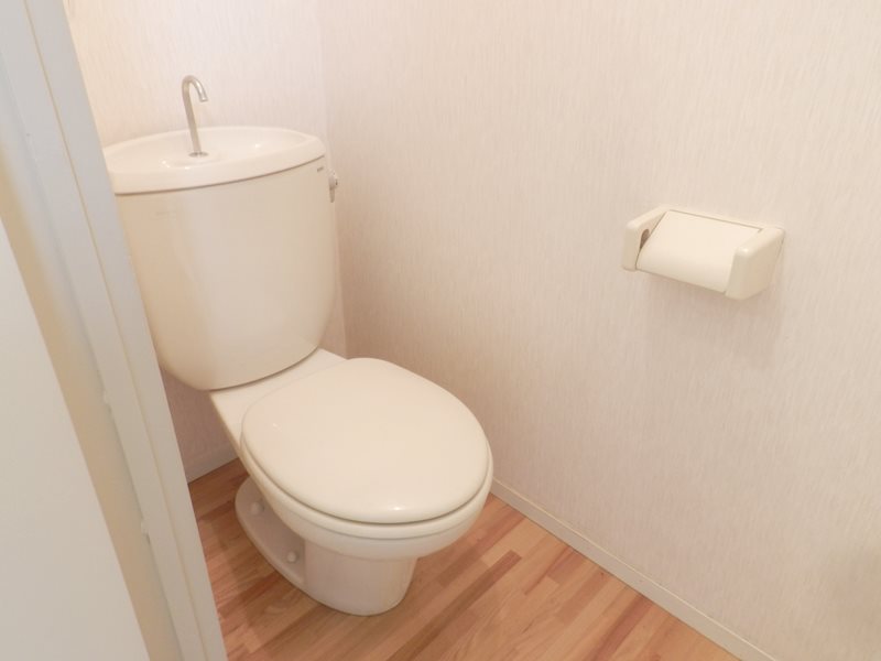 GANESHA 994 その他5