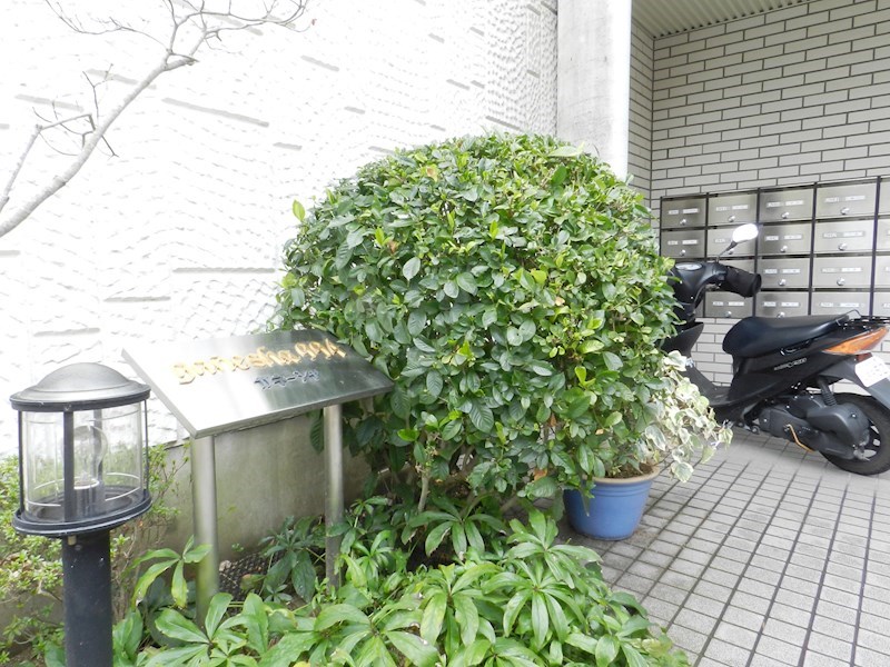 GANESHA 994 その他外観2