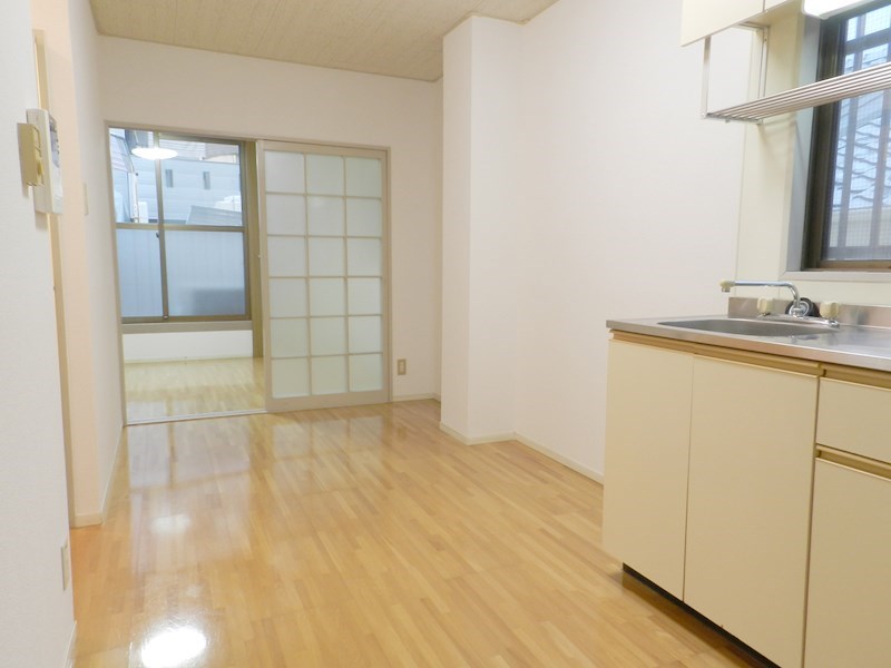 GANESHA 994 その他4