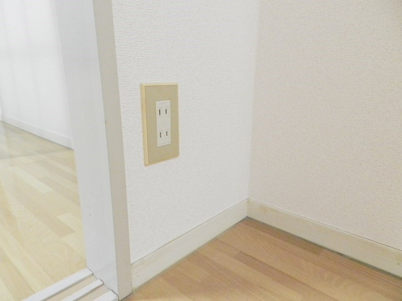 GANESHA 994 その他12