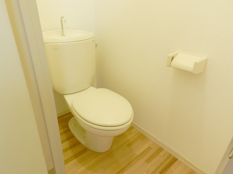 GANESHA 994 その他13