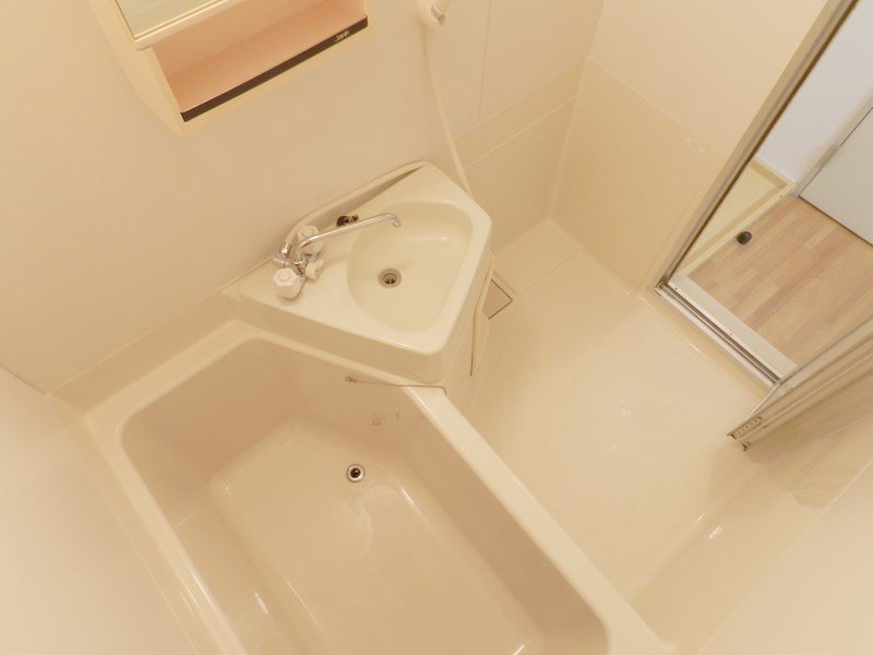 GANESHA 994 その他18