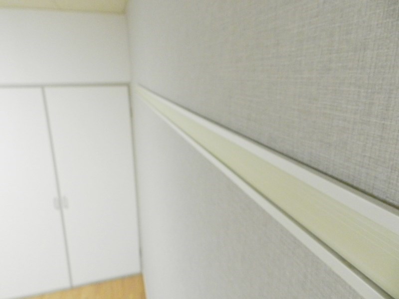 GANESHA 994 その他30