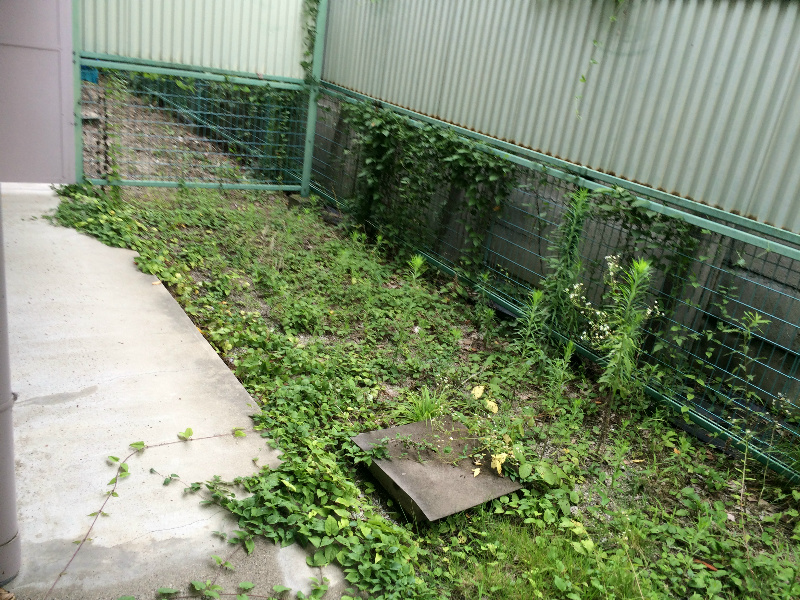 上阿達谷口マンション ベランダ