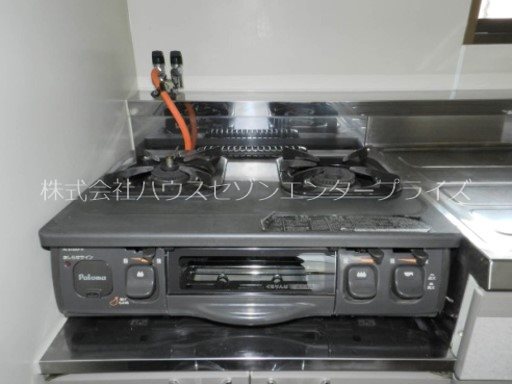 Green Coat その他1