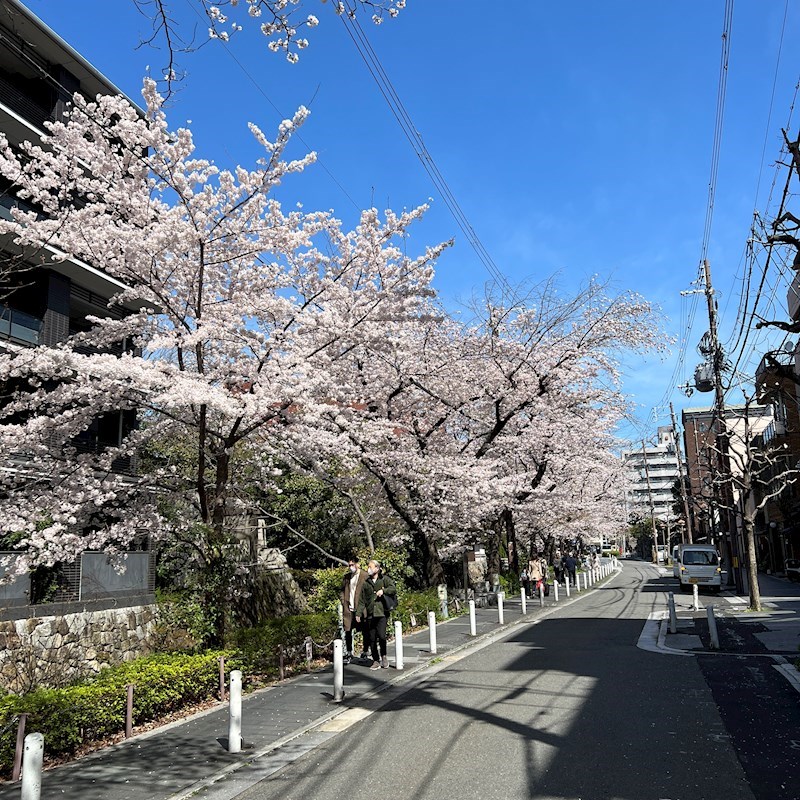 木屋町のはりビル その他
