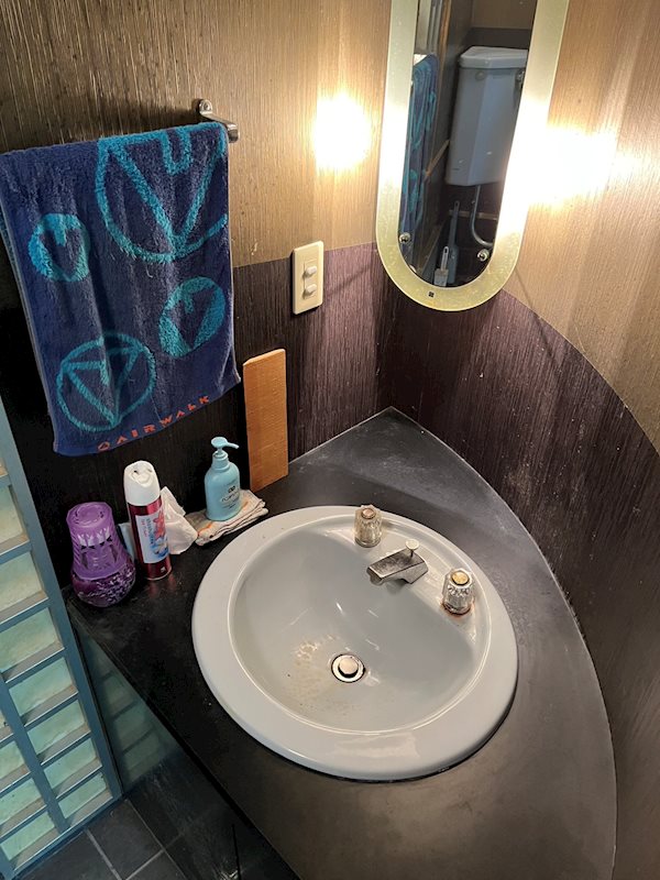 スカイロード太秦 洗面所