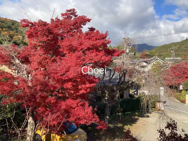 嵯峨二尊院門前往生院町 店舗付住宅 その他