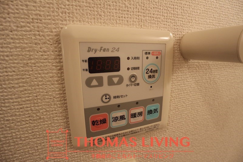 agapanthus その他13