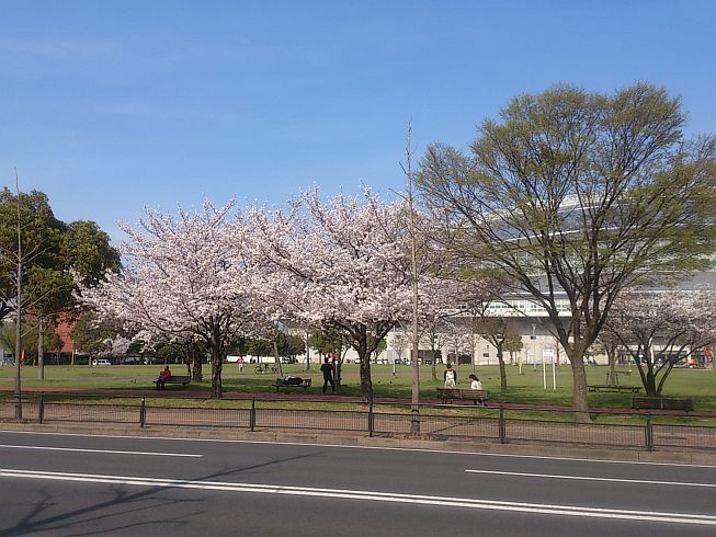 クルーズ・グラン・アリビオ 公園