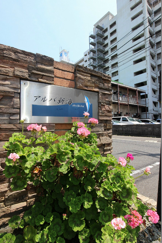 アルバ新海 その他外観4