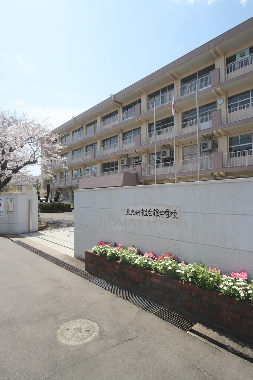 エヴァーグリーンN 中学校
