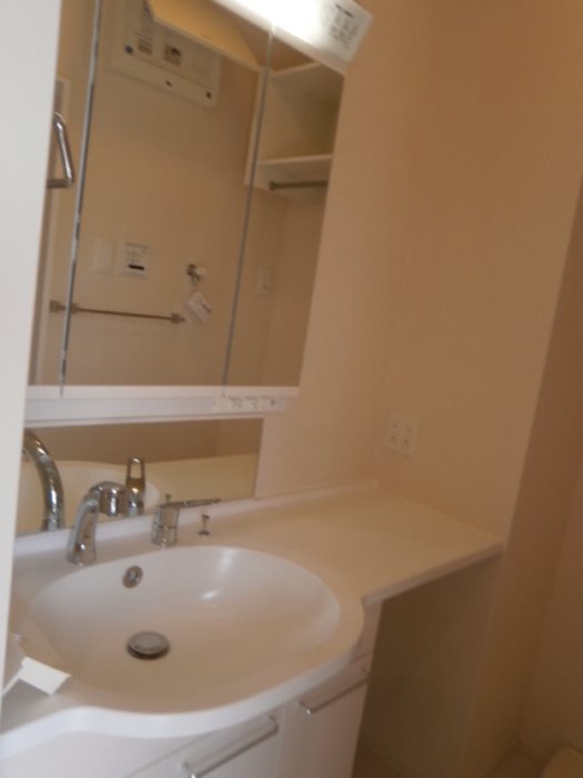 SW's riverside D-room 洗面所