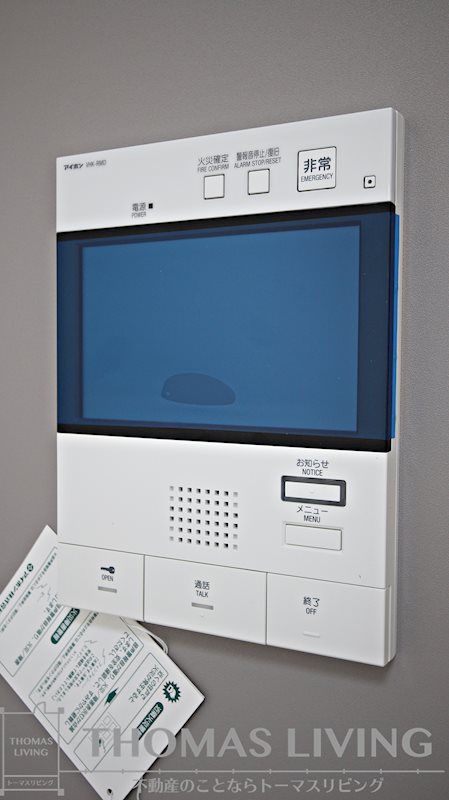 ERUZAGLANZ 黄金 その他5