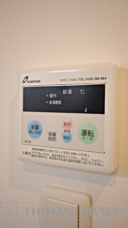 ERUZAGLANZ 黄金 その他12