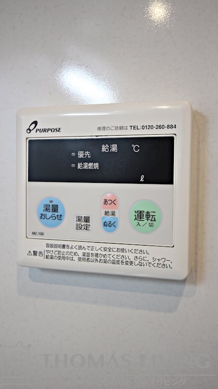 ERUZAGLANZ 黄金 その他11
