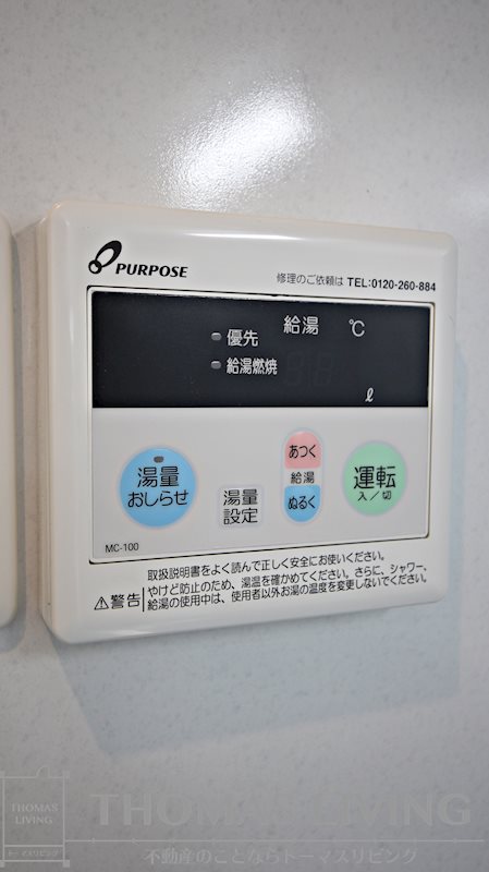 ERUZAGLANZ 黄金 その他4