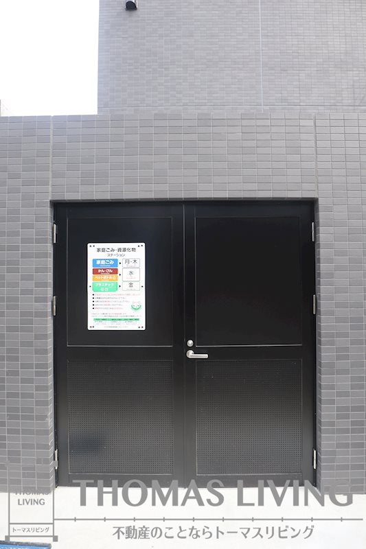 CITRUS TREE その他16