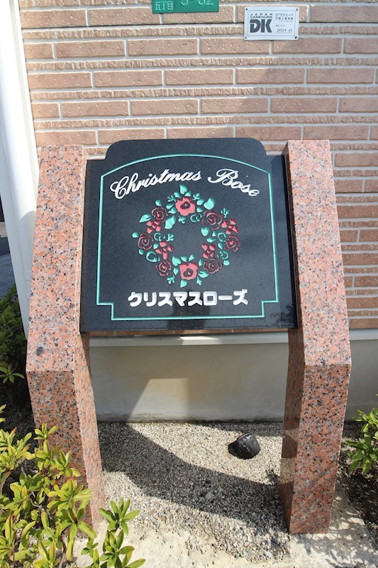クリスマスローズ  外観