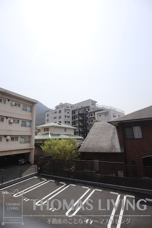 CITRUS TREE 眺望