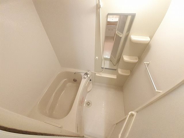 スリーワンスリーヒルズD 風呂画像